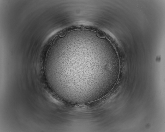 X0000101141112200807110936