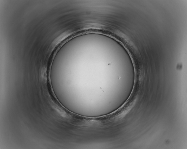 X0000101141113200807110936