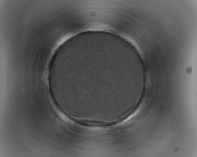 X0000101141114200807110936