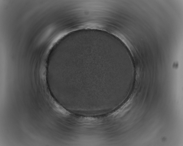 X0000101141115200807110936