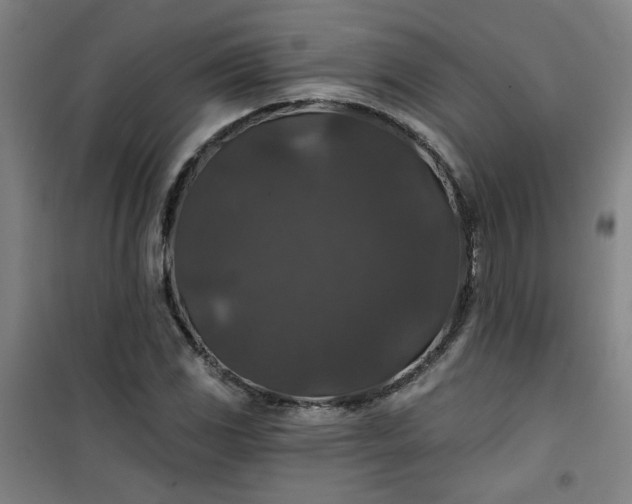 X0000101141117200807110936