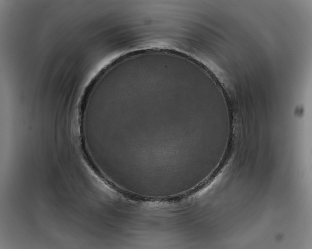 X0000101141118200807110936