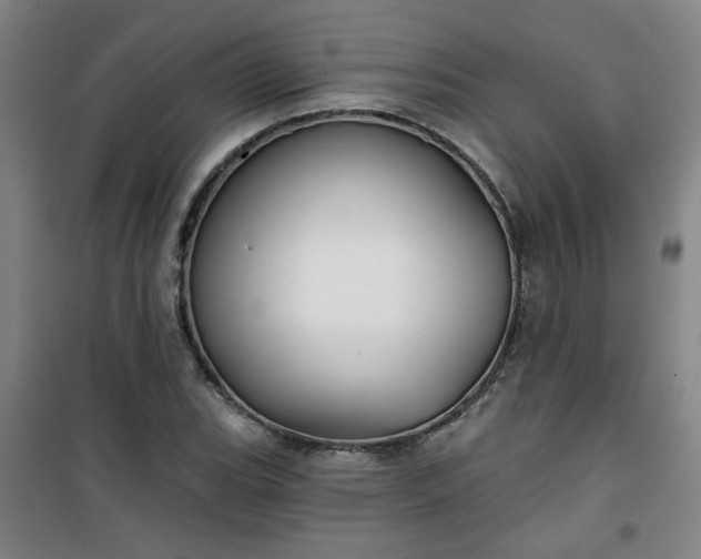 X0000101141119200807110936