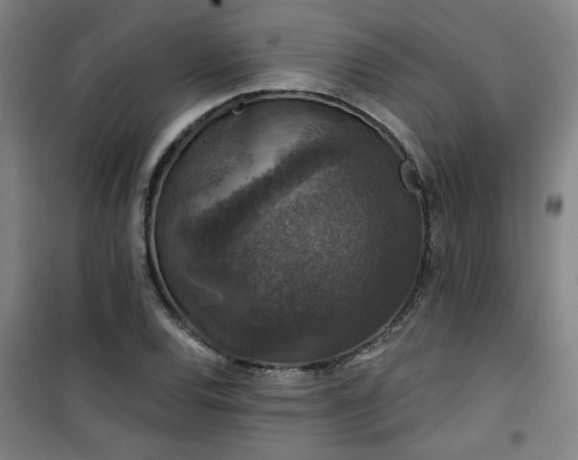 X0000101141120200807110936