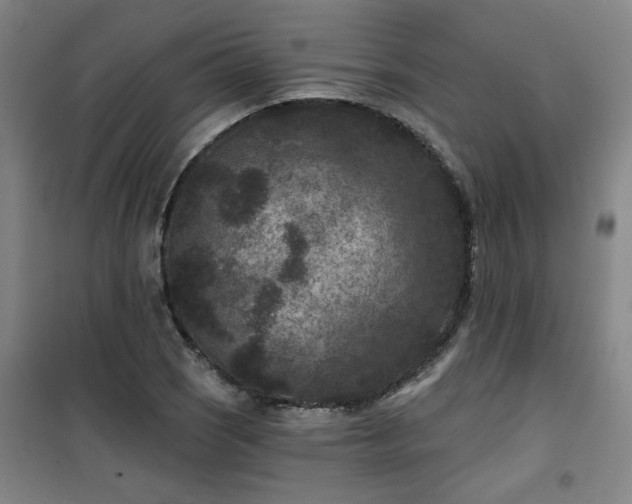 X0000101141121200807110936