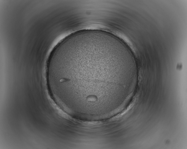 X0000101141122200807110936