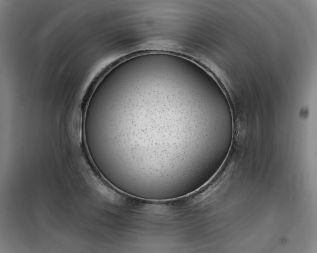 X0000101141123200807110936