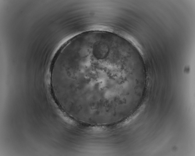 X0000101141125200807110936