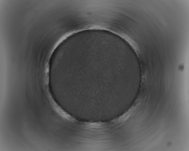 X0000101141126200807110936