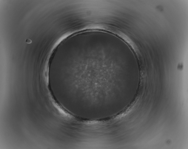 X0000101141127200807110936