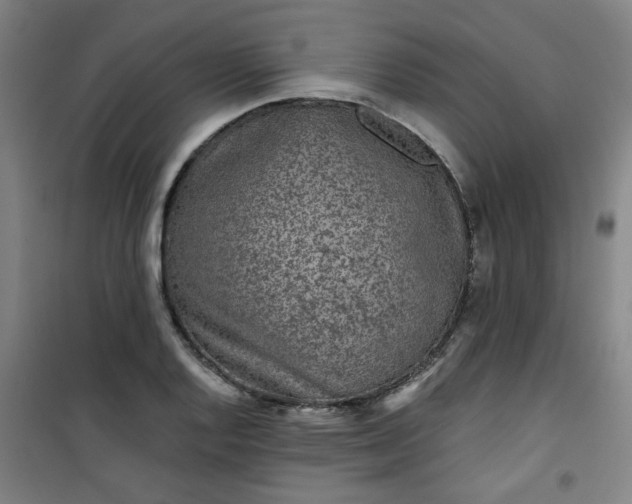 X0000101141128200807110936