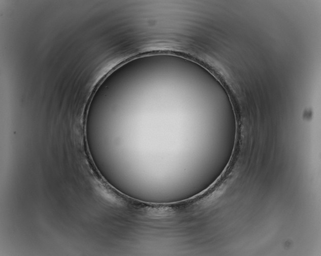 X0000101141129200807110936