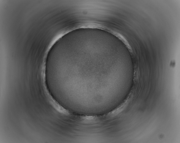 X0000101141130200807110936