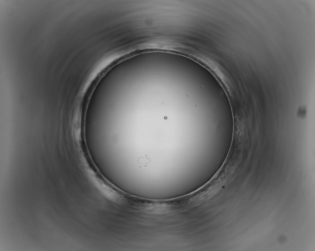 X0000101141131200807110936