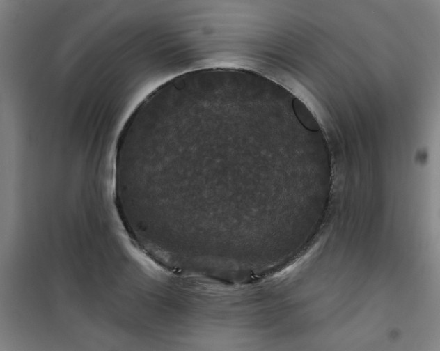 X0000101141132200807110936