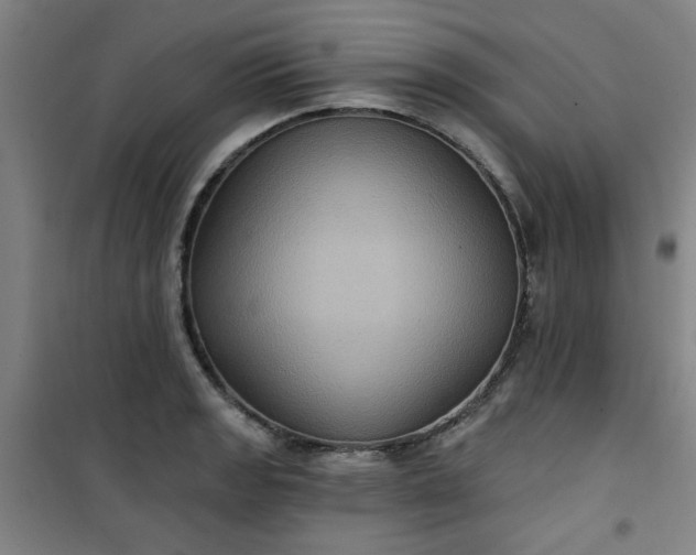 X0000101141133200807110936