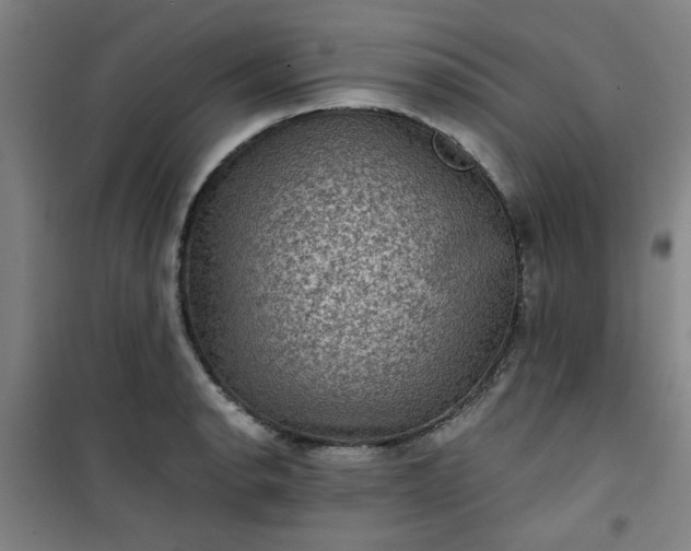 X0000101141134200807110936