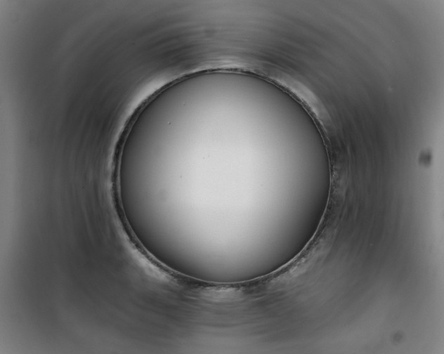 X0000101141135200807110936