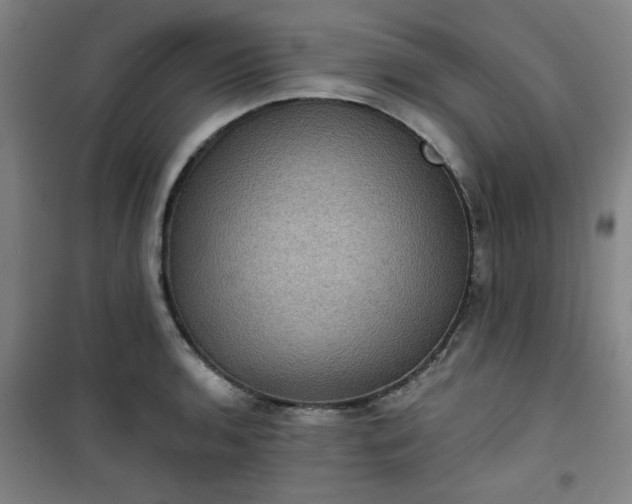 X0000101141136200807110936