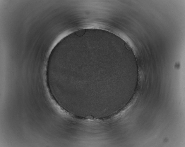 X0000101141138200807110936