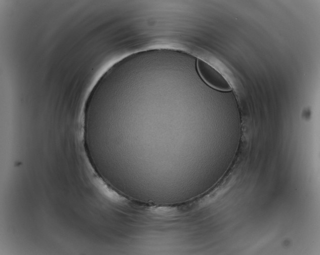 X0000101141140200807110936