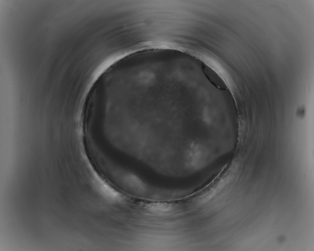 X0000101141141200807110936