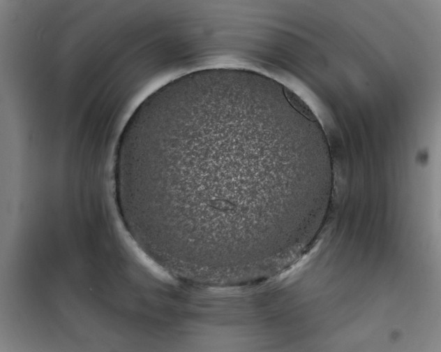 X0000101141142200807110936