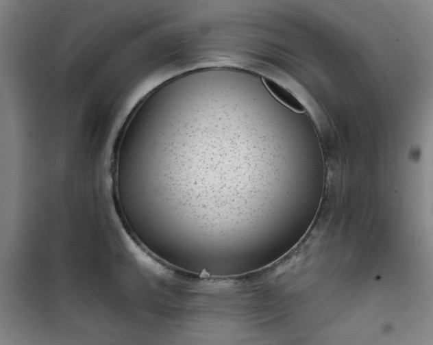 X0000101141143200807110936