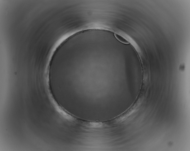 X0000101141144200807110936