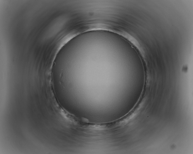 X0000101141145200807110936