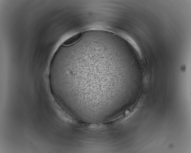 X0000101141146200807110936