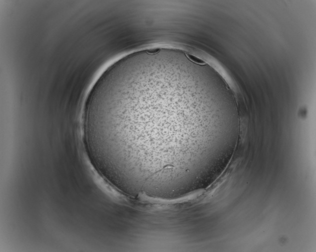 X0000101141148200807110936