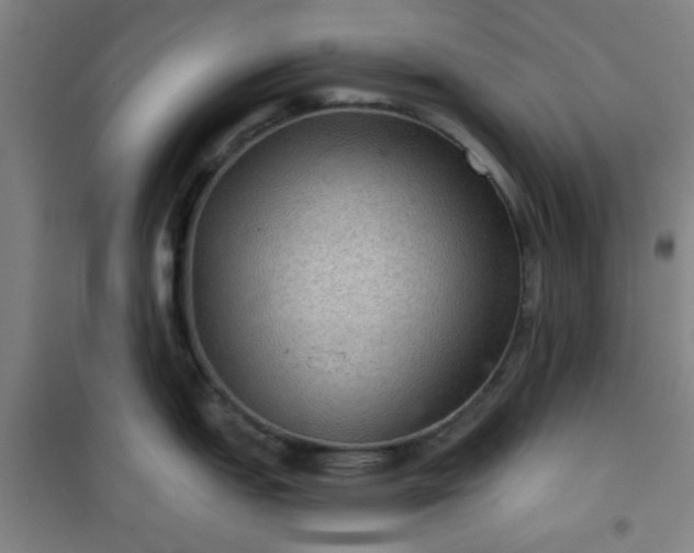 X0000101141151200807110936