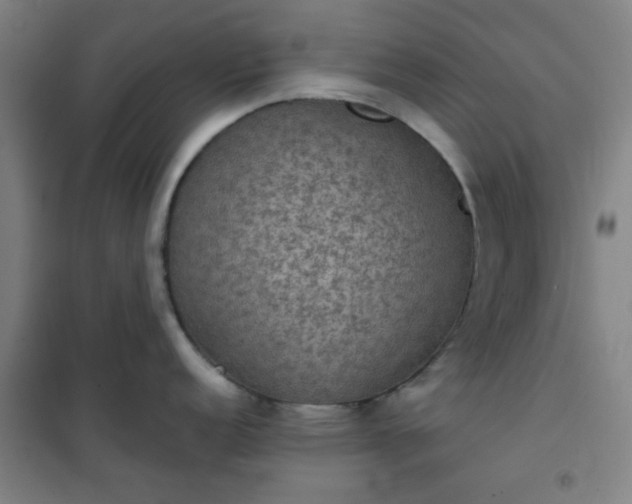 X0000101141152200807110936