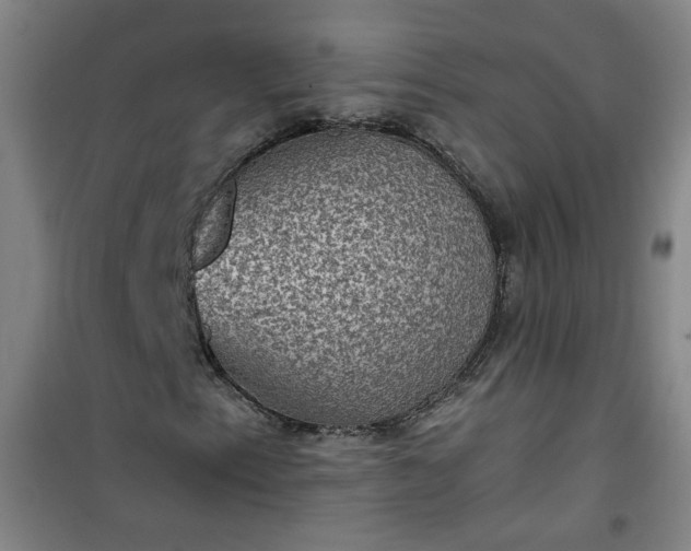 X0000101141153200807110936