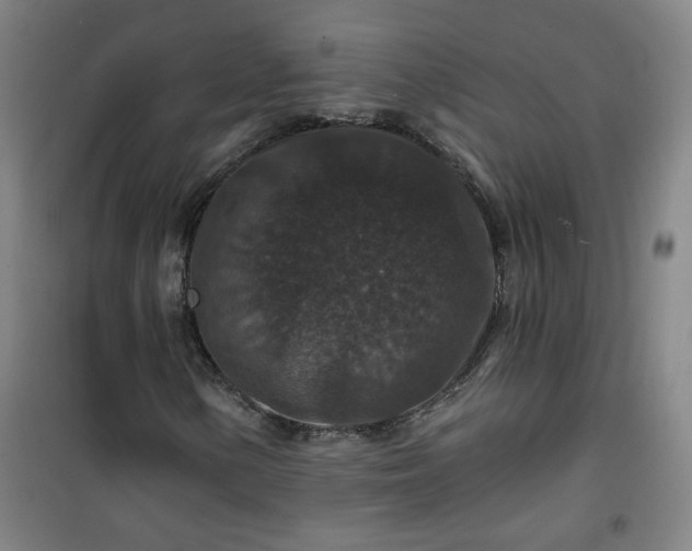 X0000101141154200807110936