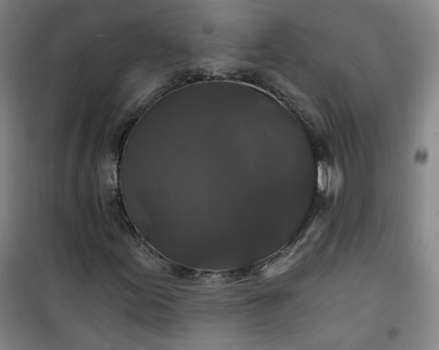 X0000101141155200807110936