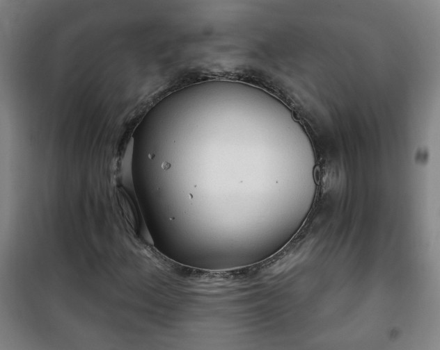 X0000101141156200807110936