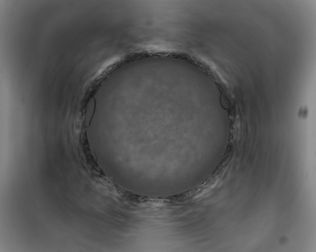 X0000101141157200807110936