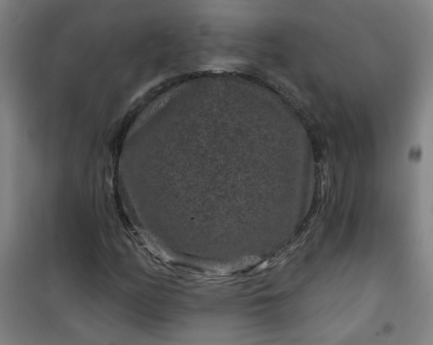 X0000101141158200807110936