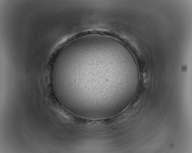 X0000101141159200807110936