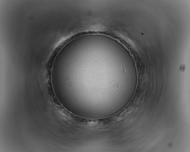 X0000101141160200807110936