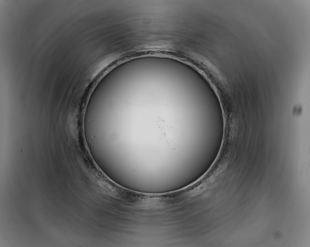 X0000101141162200807110936