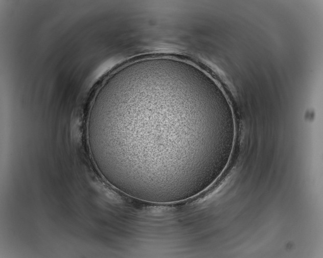 X0000101141163200807110936