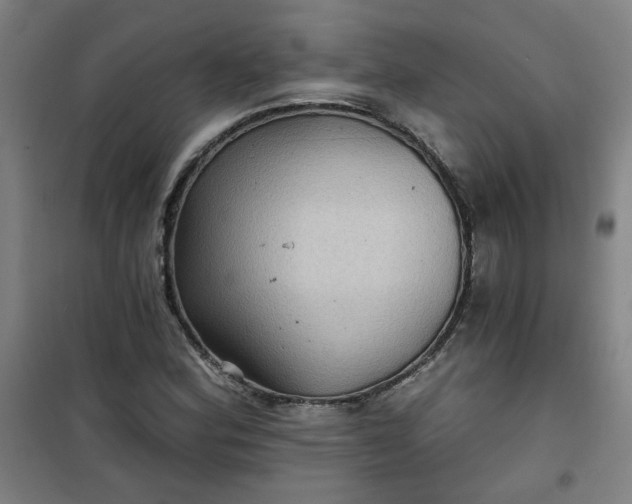 X0000101141164200807110936