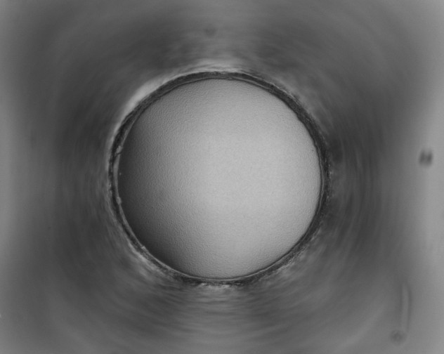 X0000101141168200807110936