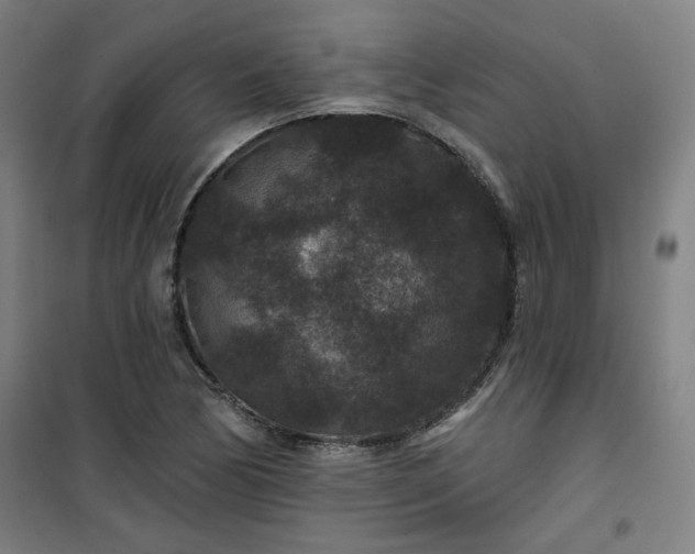 X0000101141170200807110936