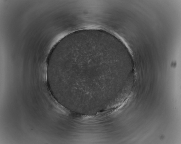 X0000101141171200807110936