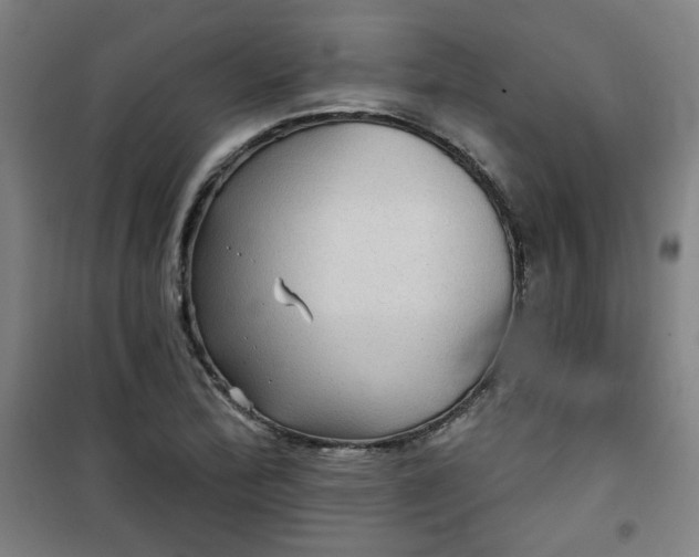 X0000101141172200807110936