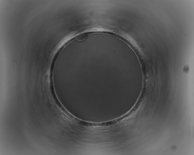 X0000101141173200807110936